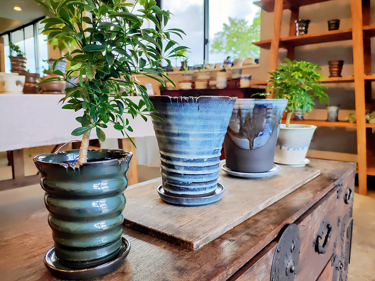 お知らせ 2025年 | 陶芸家 針生峻 - Shun Hariu Pottery