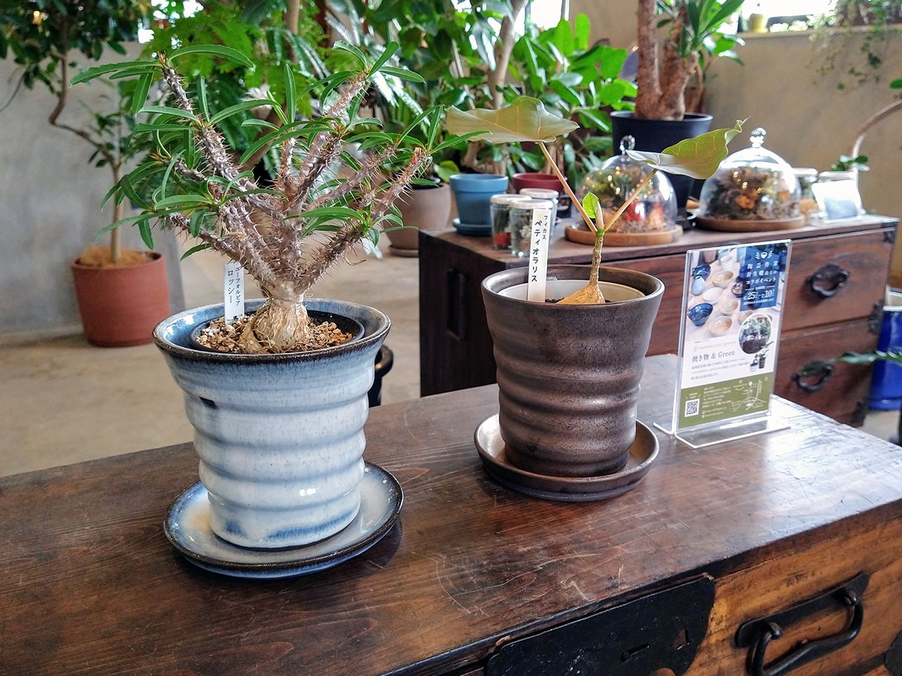 灰釉 青＆ブロンズ釉 植木鉢（4号）